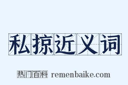 私掠近义词是什么意思的图片